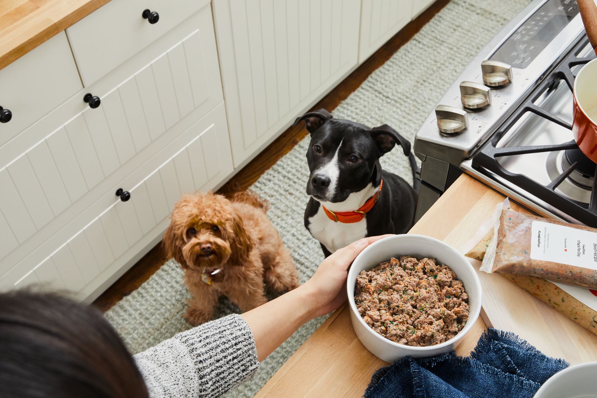 The Farmer’s Dog meal being served