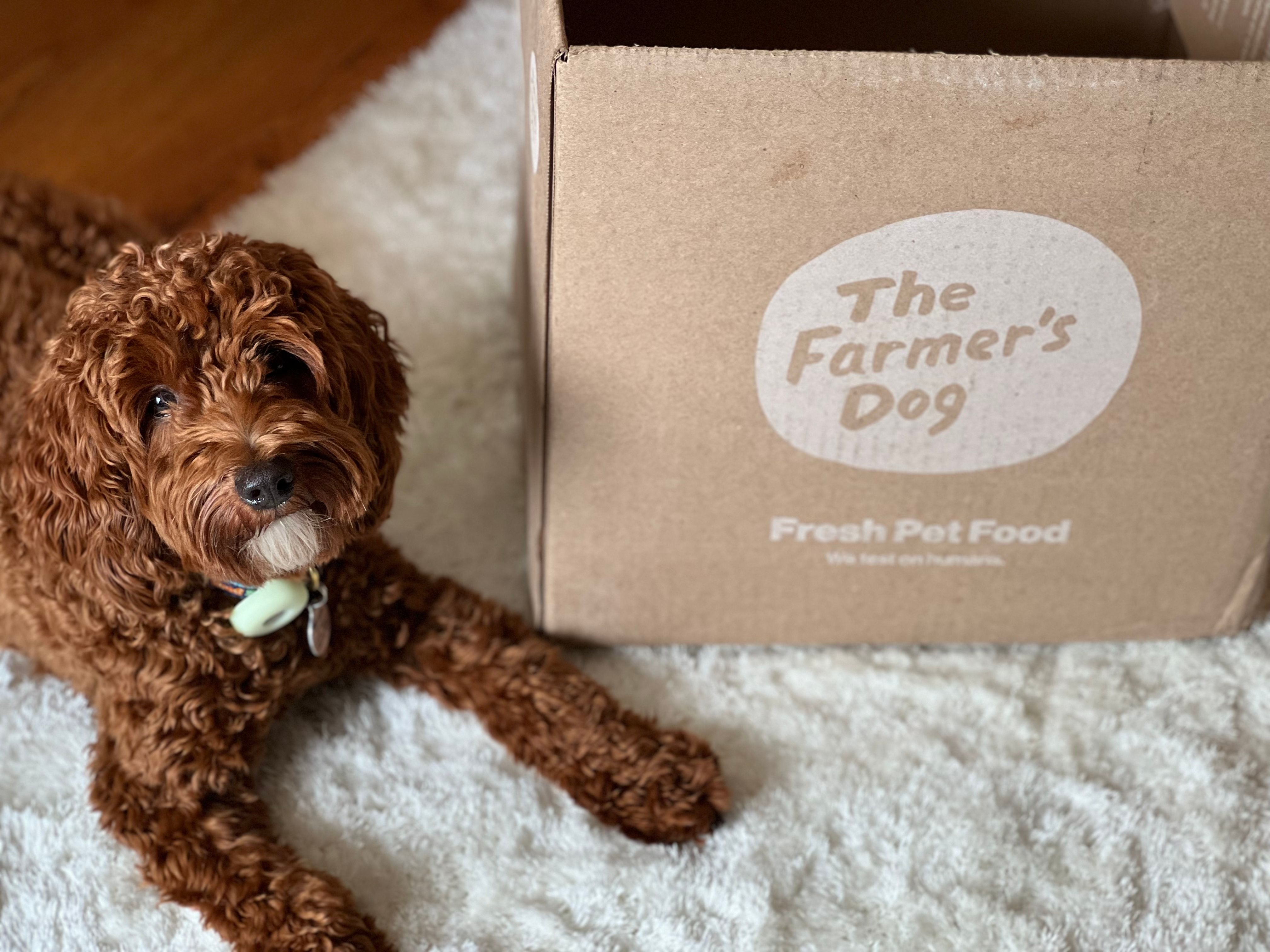 The Farmer’s Dog meal delivery