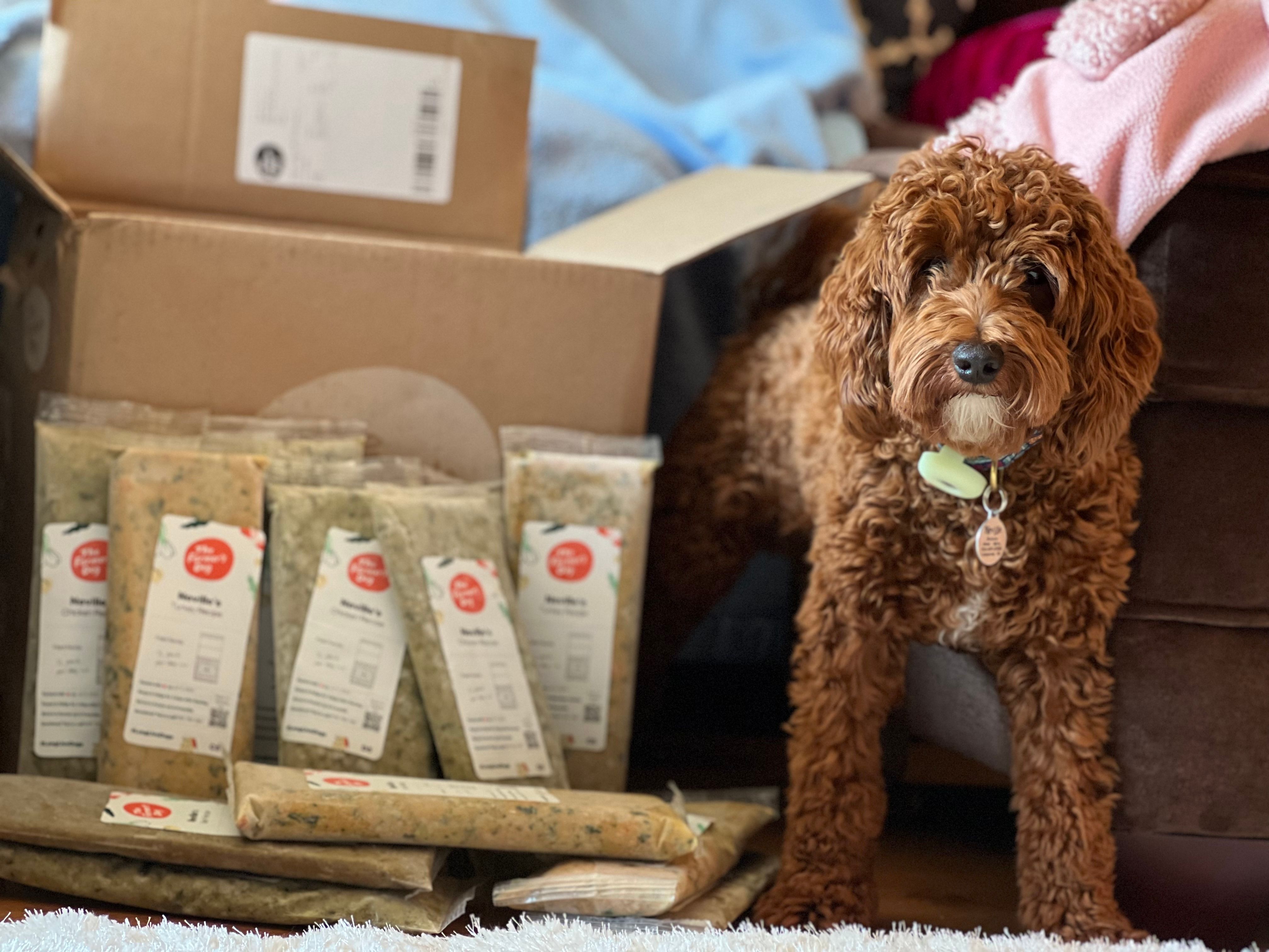 The Farmer’s Dog meal delivery