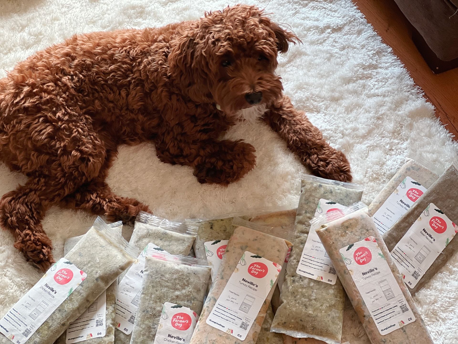 The Farmer’s Dog meals shipment