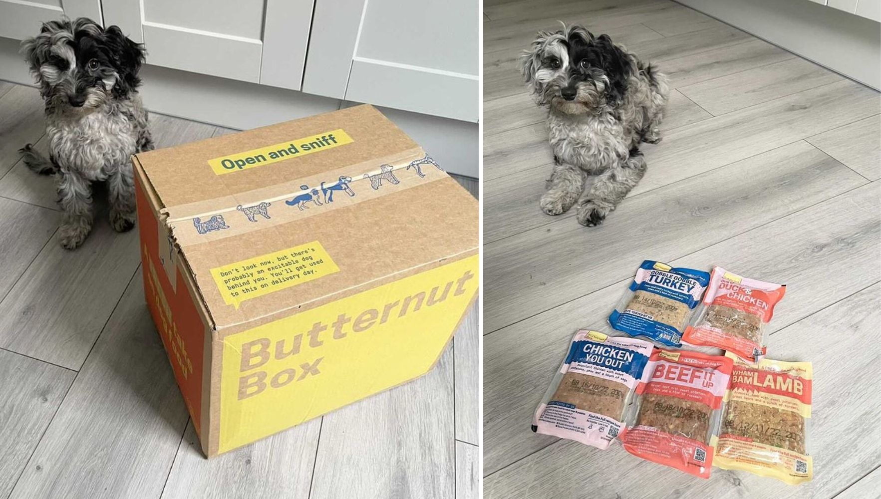Butternut Box dog food meal preparation