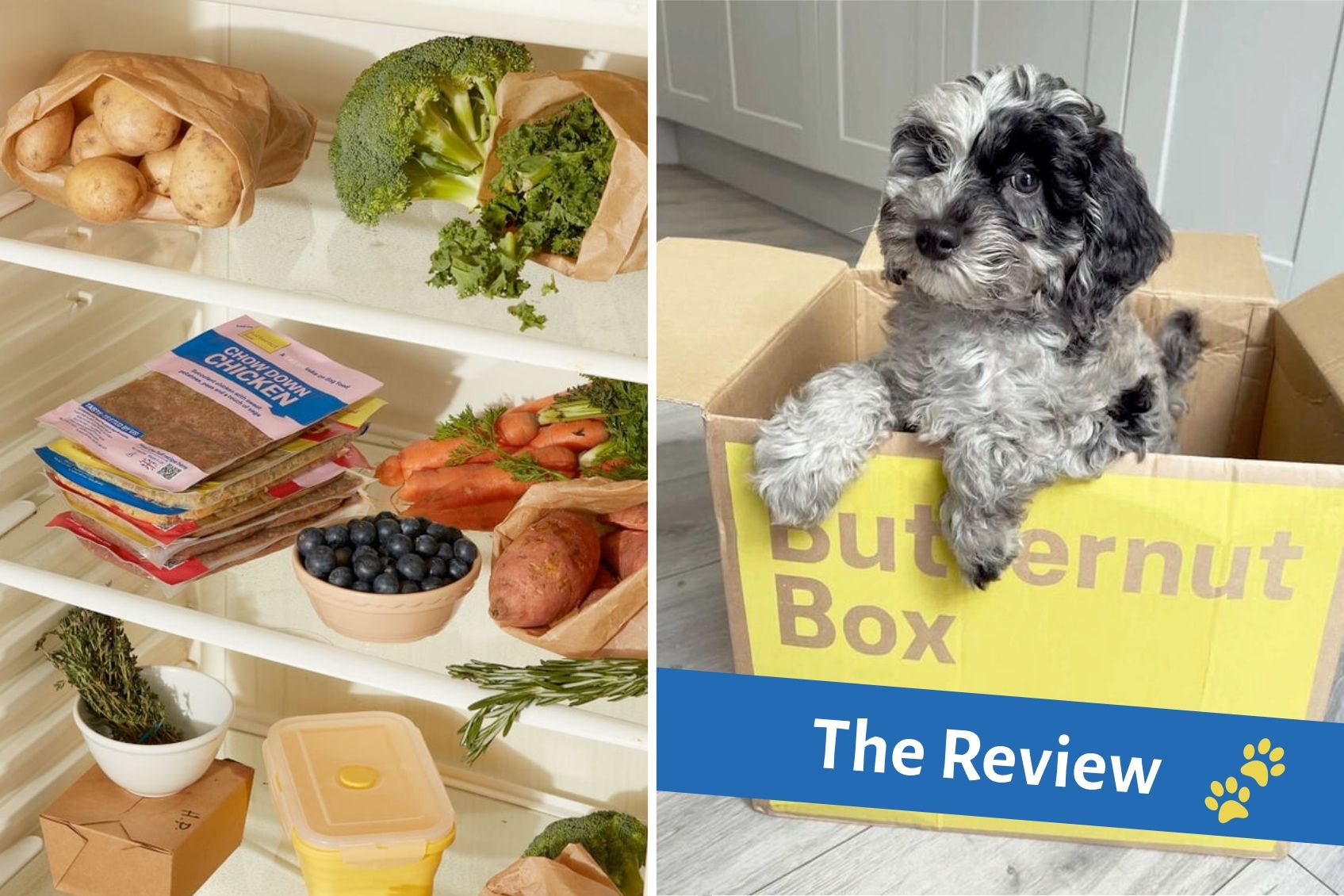 Butternut Box Dog Food Review