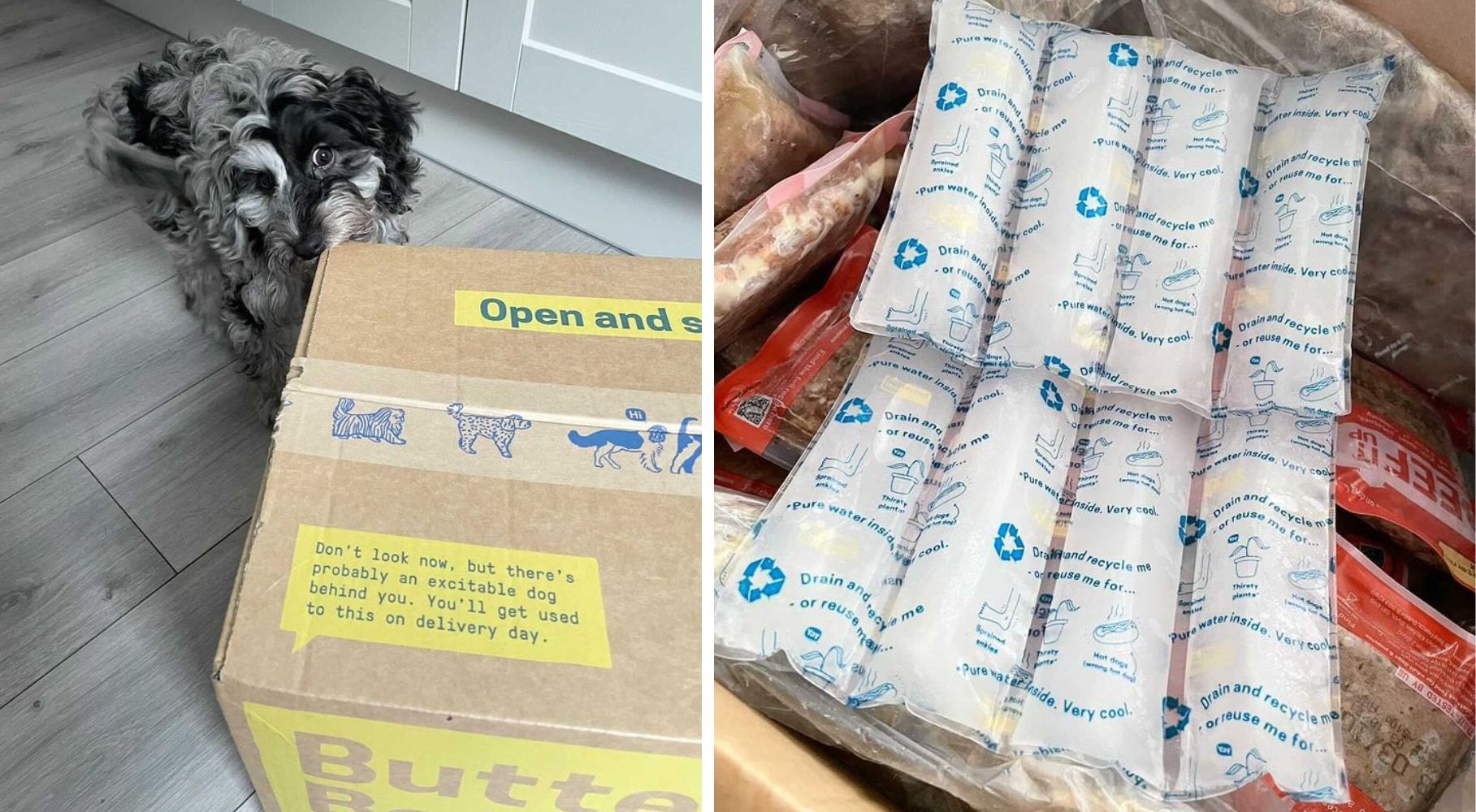 Butternut Box frozen delivery package