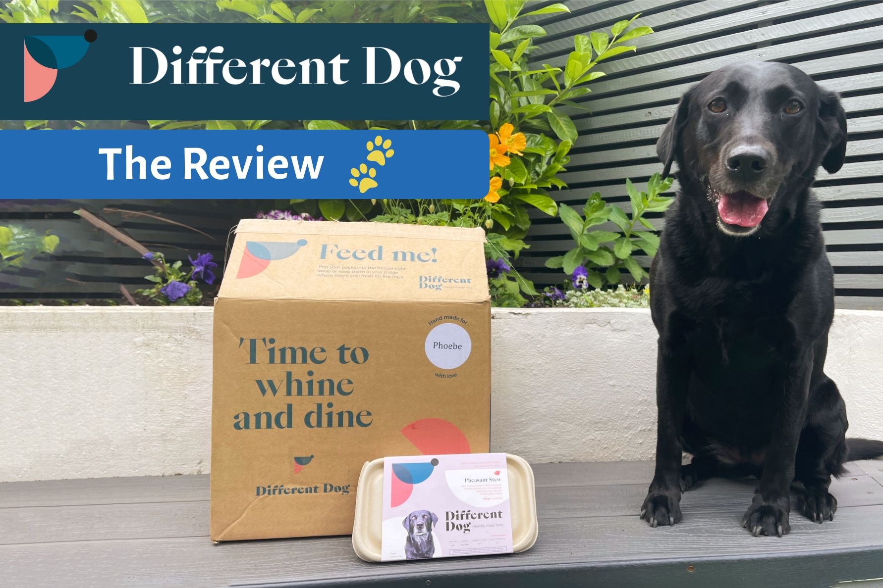 Different Dog - Dog Food Review