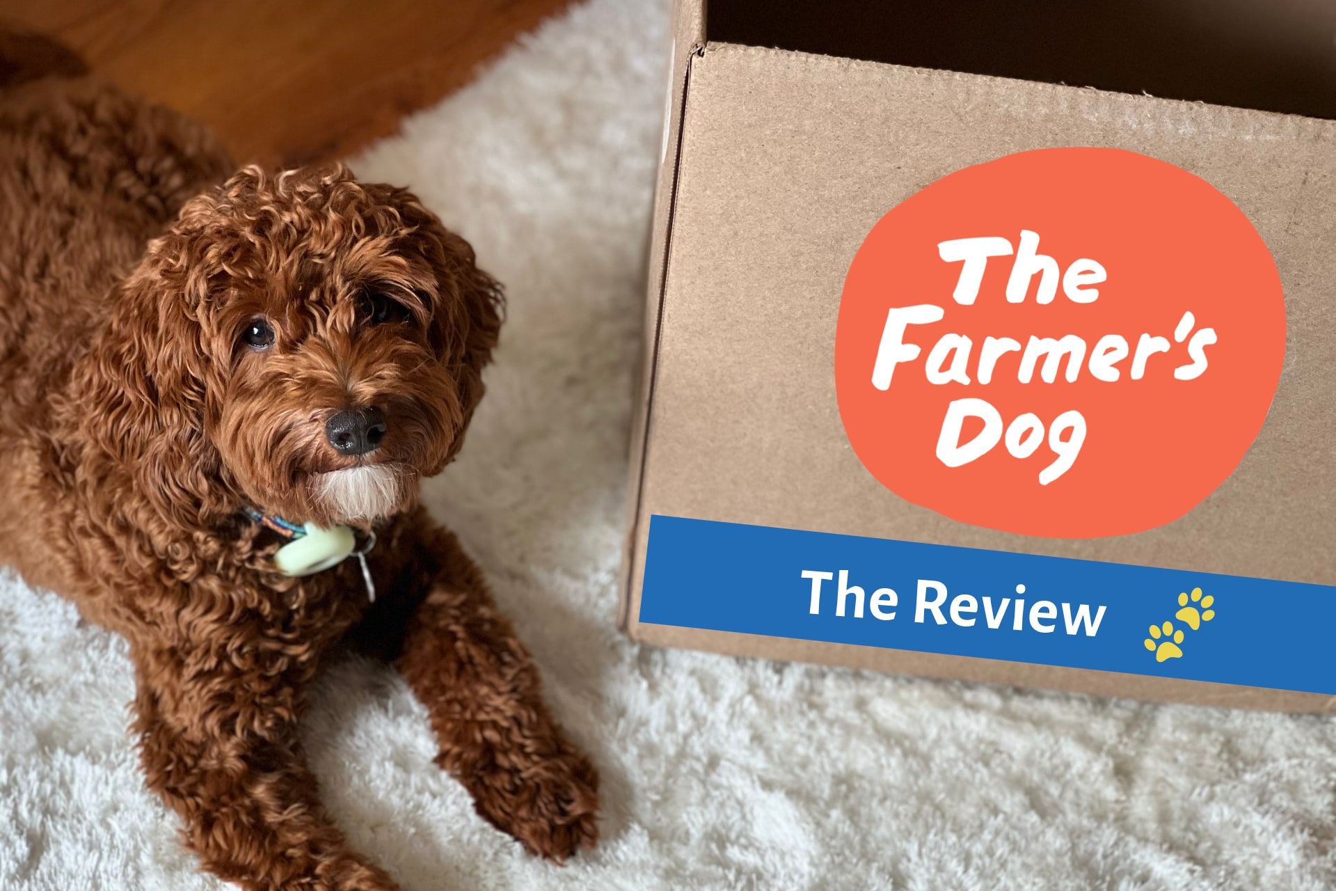 The Farmer’s Dog - Fresh Dog Food Review
