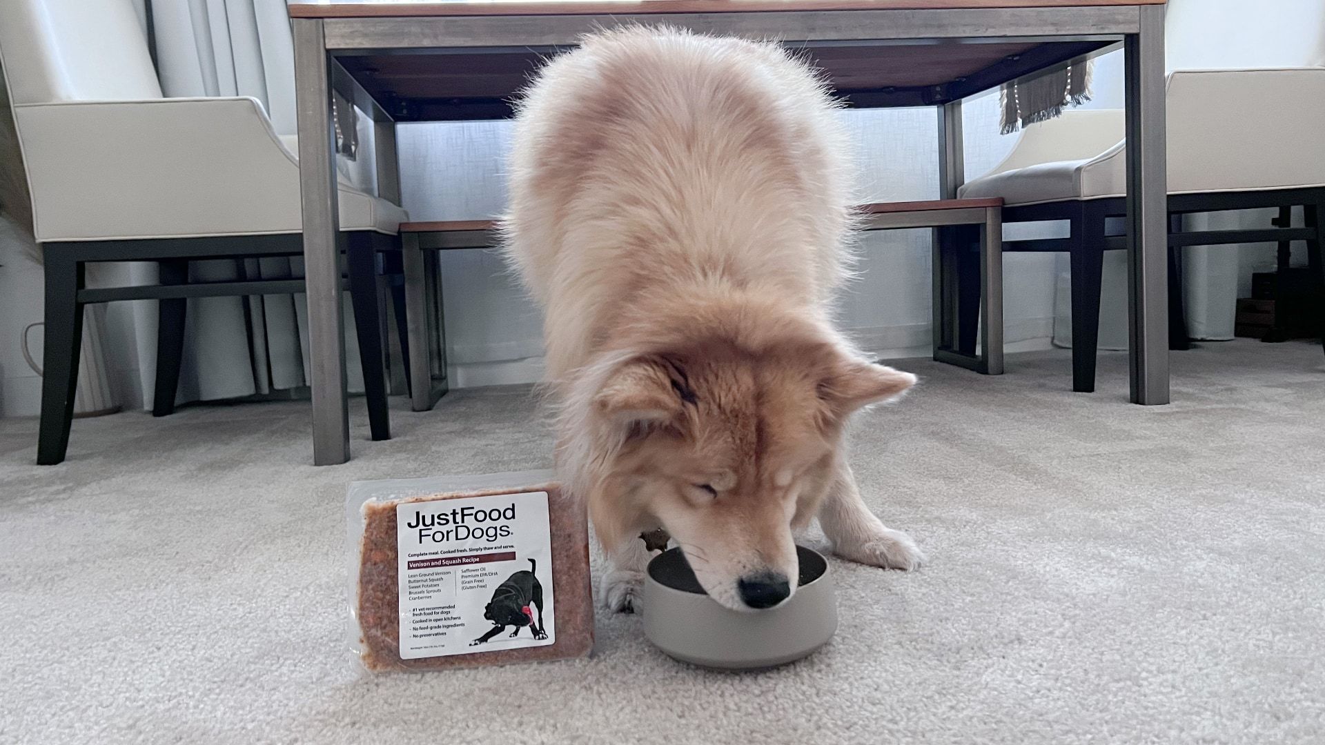 JustFoodForDogs being eaten