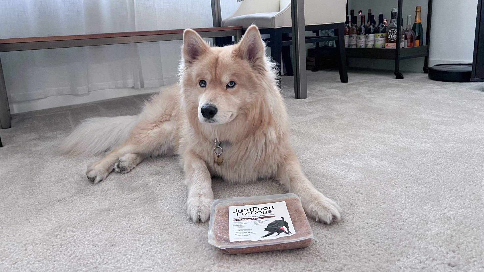 Owen the dog waiting for his JustFoodForDogs dinner!