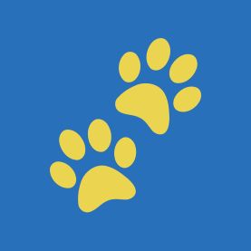 Your Paws team