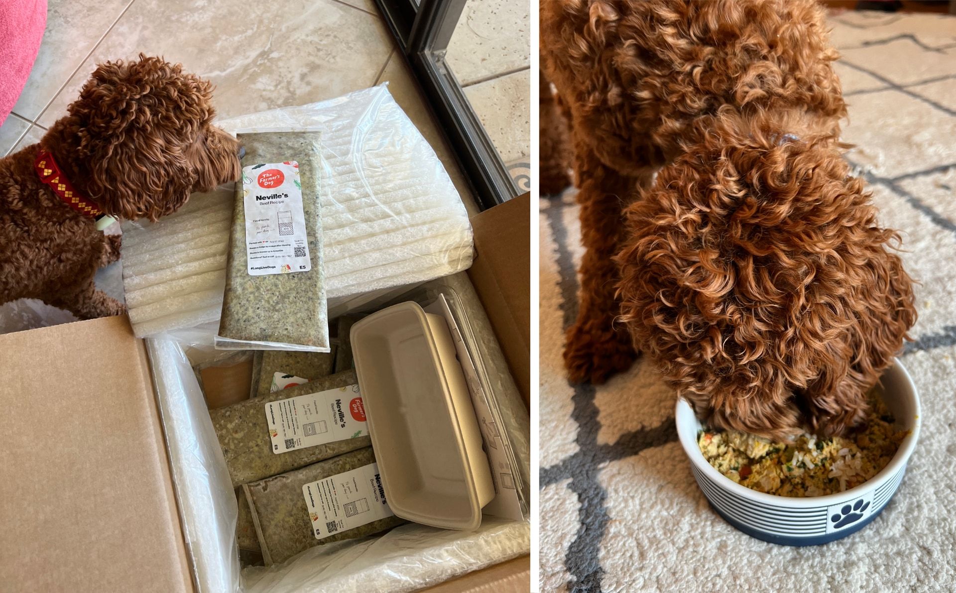 The Farmer’s Dog meals shipment