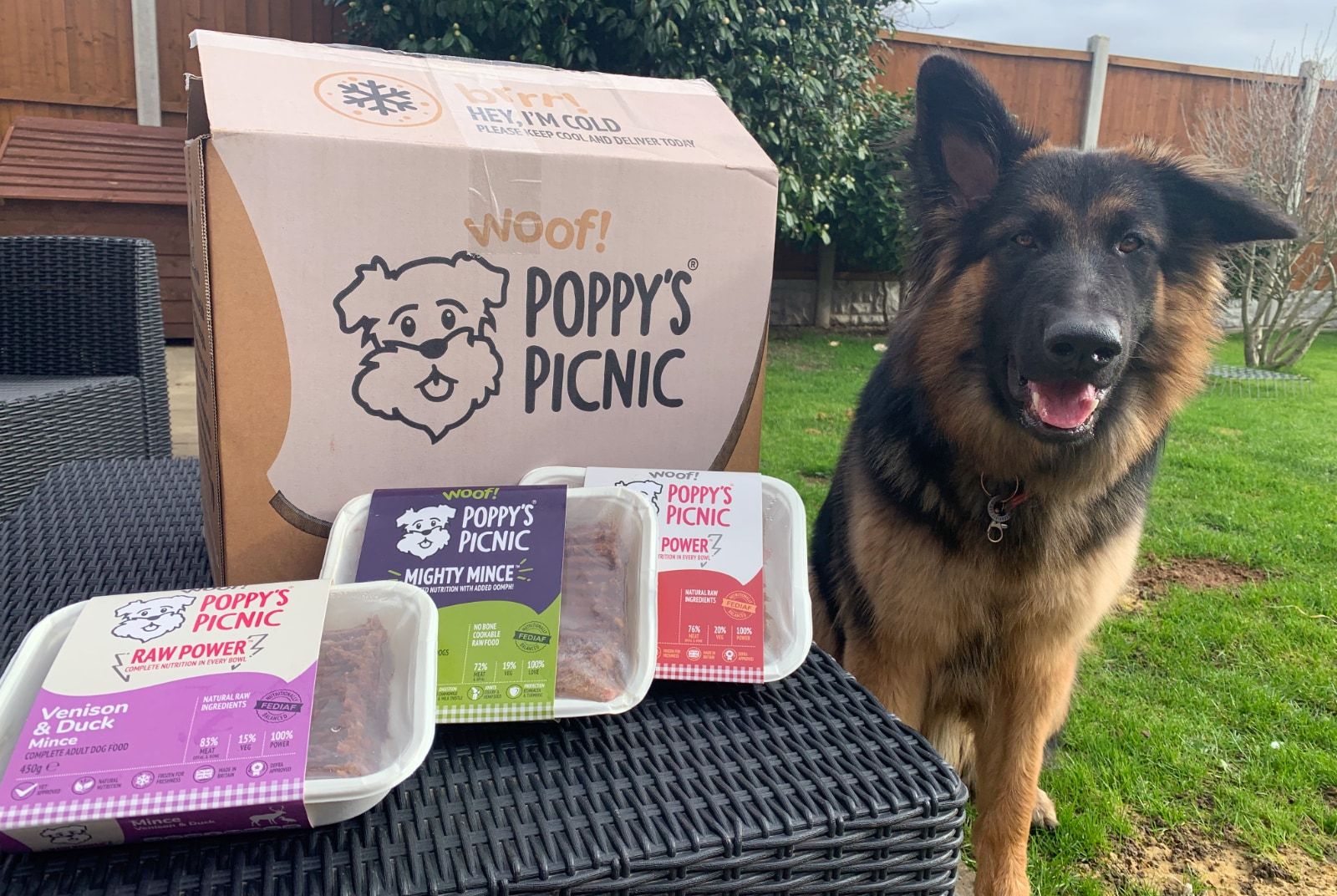 Poppy's Picnic delivery