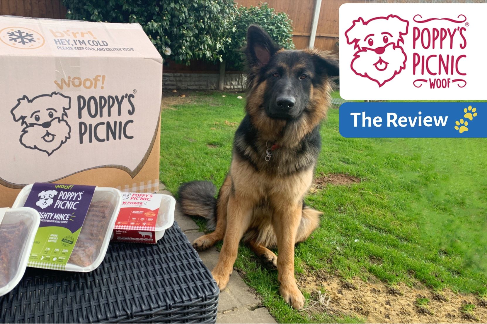 Poppy's Picnic - Dog Food Review